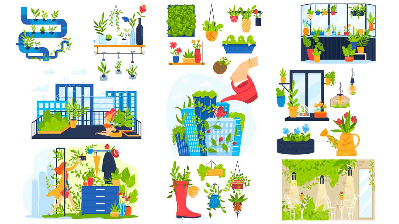 Kako uzgojiti mini vrt u stanu