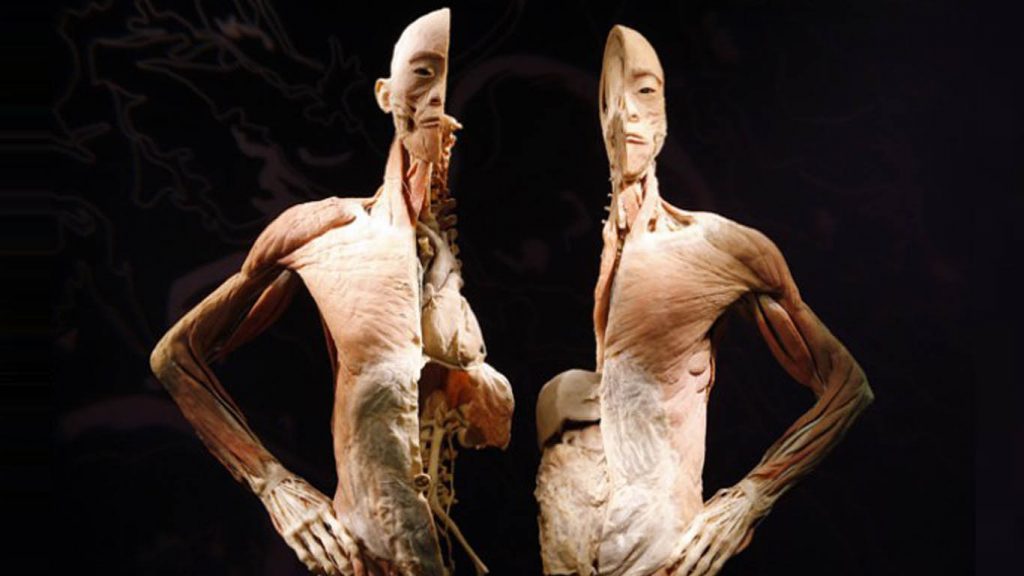 Bodies 2.0: Izložba pravih ljudskih tijela